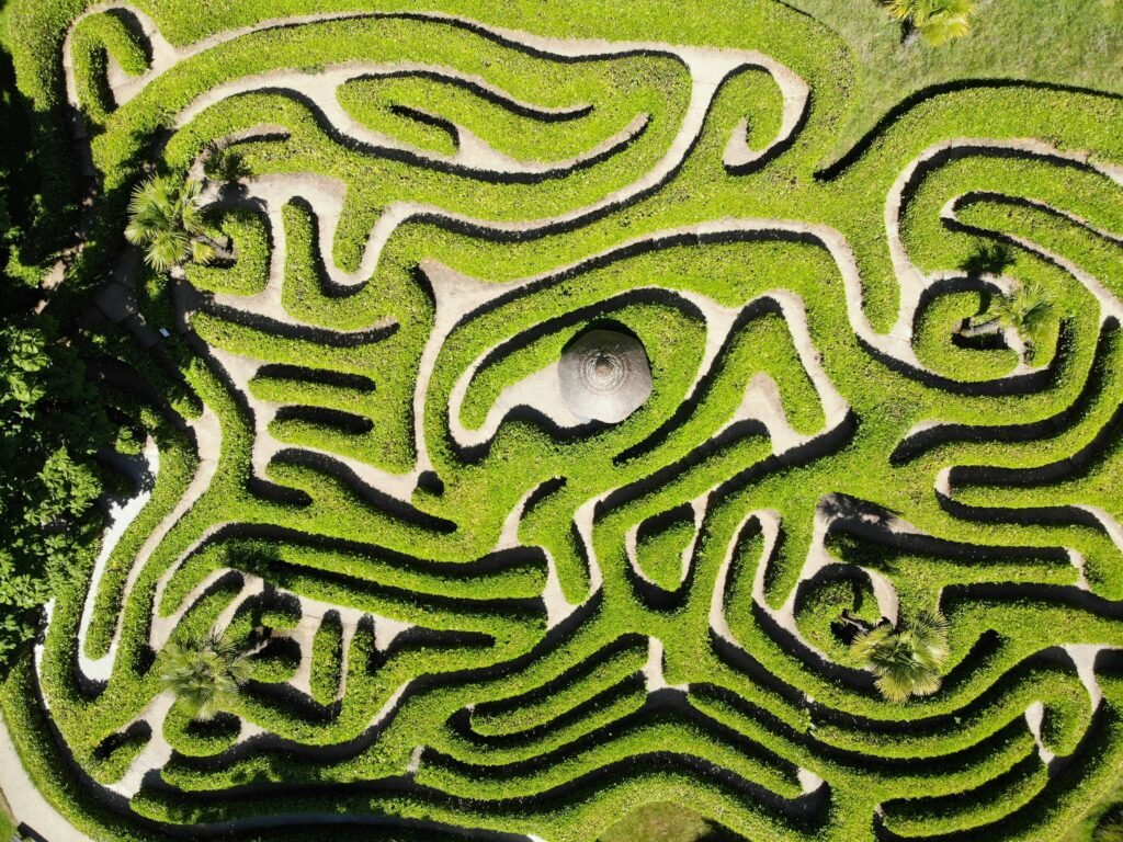 Labirinto visto de cima